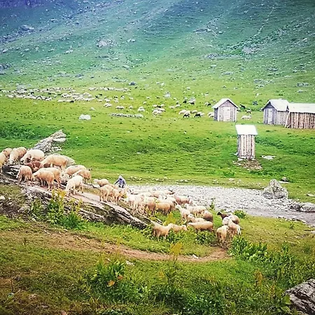 Korabi Mountain Camping Hostel *